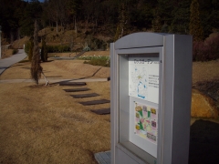IMGP0304
