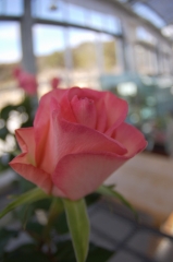 IMGP4047