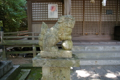 IMGP3058神代八幡宮