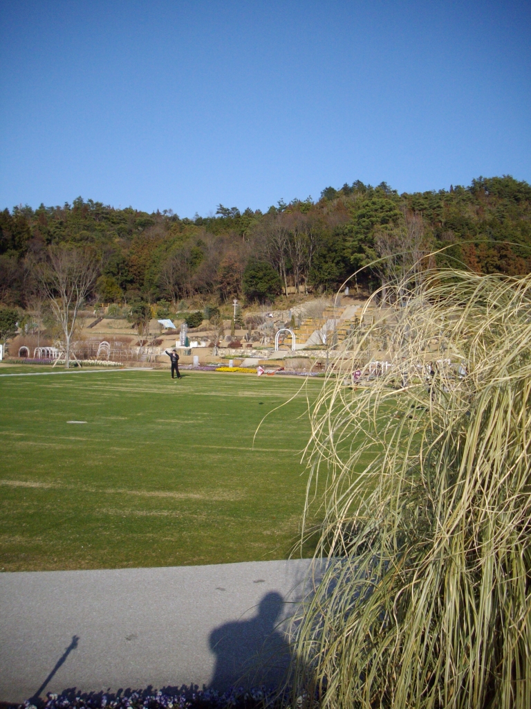 IMGP0338