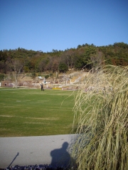 IMGP0338