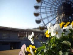 IMGP0342