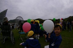 IMGP1281
