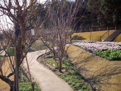 IMGP0289