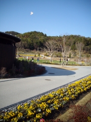 IMGP0336