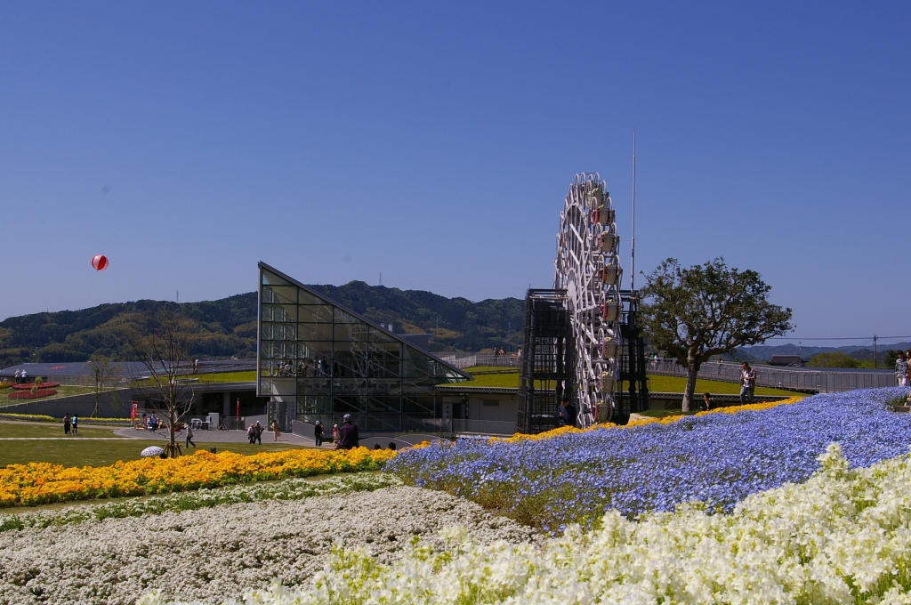 IMGP4476花くるりん