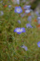 IMGP4770
