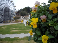 IMGP0262