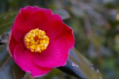 IMGP0676