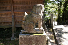 IMGP3046神代八幡宮