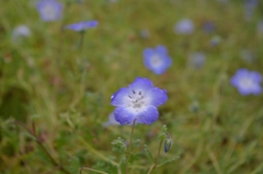 IMGP4769