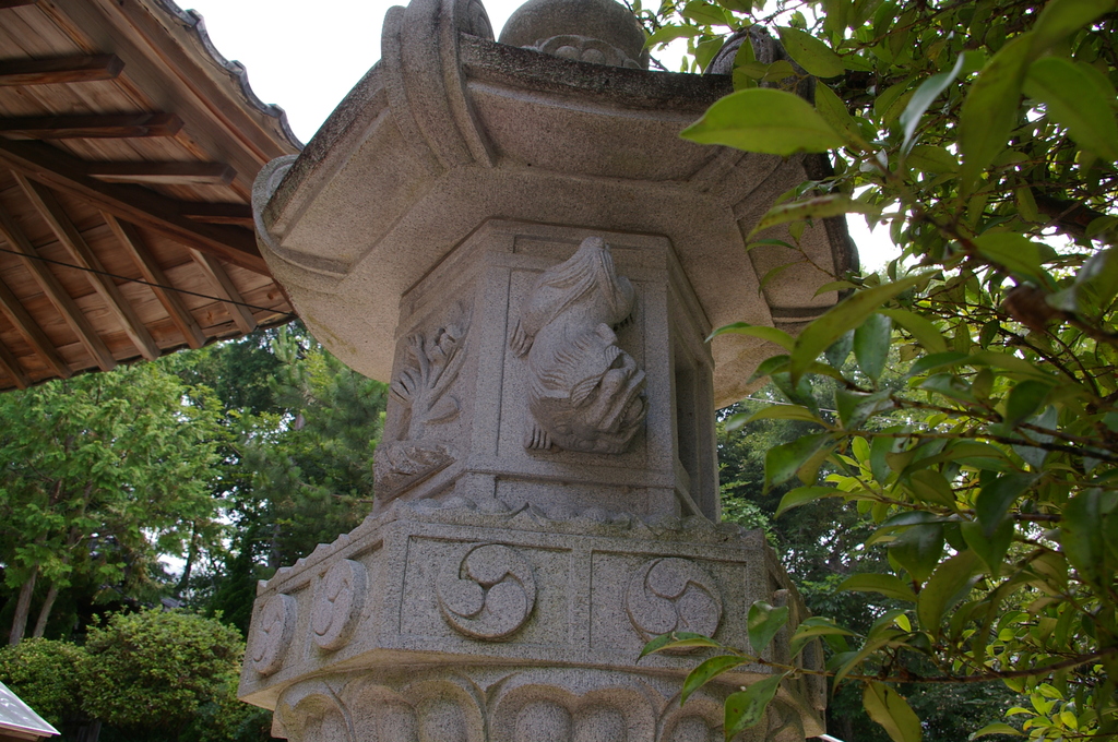 IMGP2584松戸八幡宮