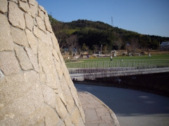 IMGP0284