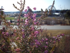 IMGP0300
