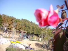 IMGP0310