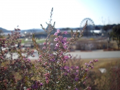 IMGP0302