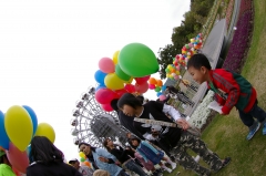 IMGP1275