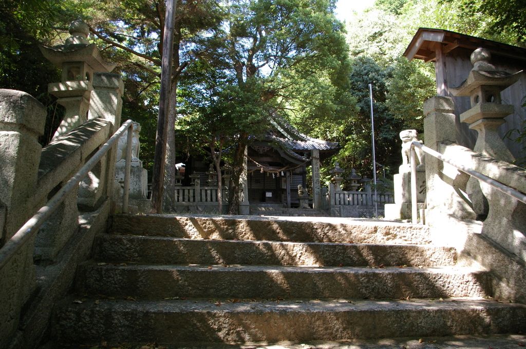 IMGP3060神代八幡宮