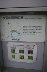 IMGP4762水辺の冒険広場