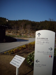 IMGP0335