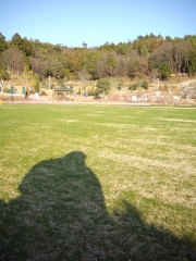 IMGP0345