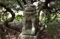 IMGP2750黒島神社