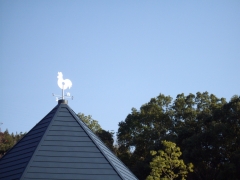IMGP0320