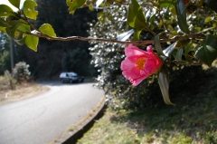 IMGP0684