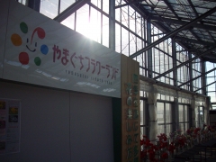 IMGP0330
