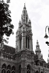 市庁舎＠Vienna