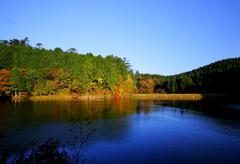 湖