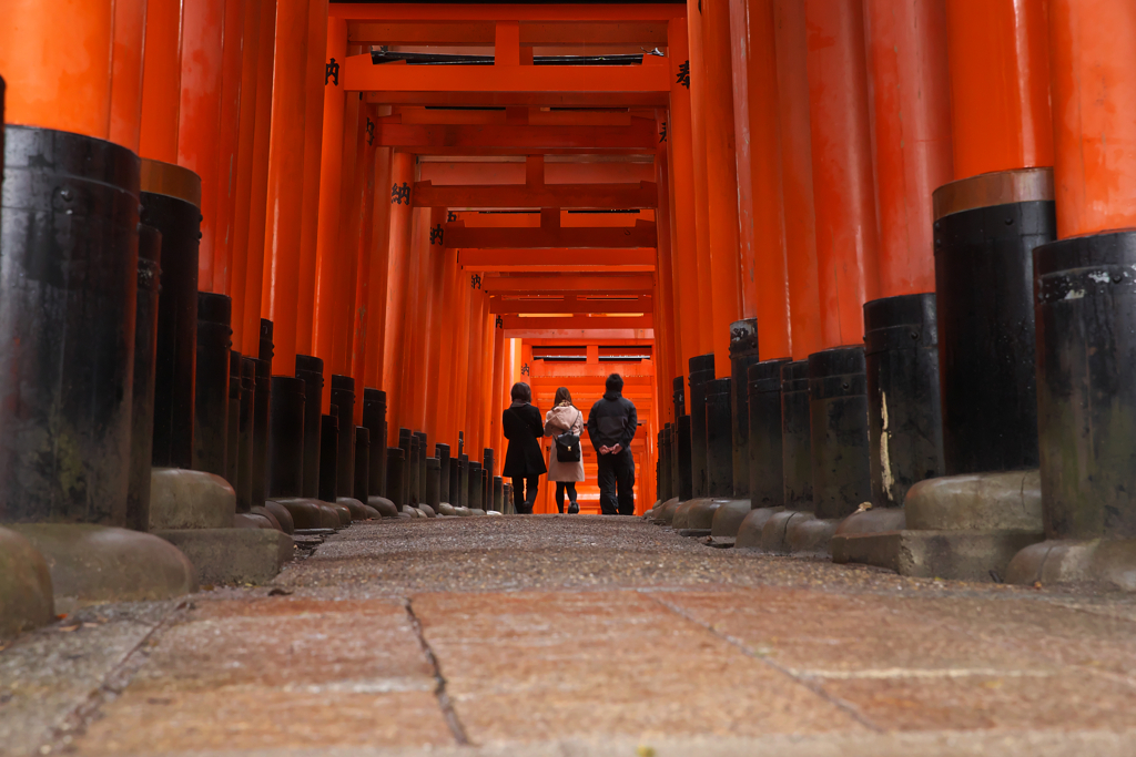 神域への道を歩む