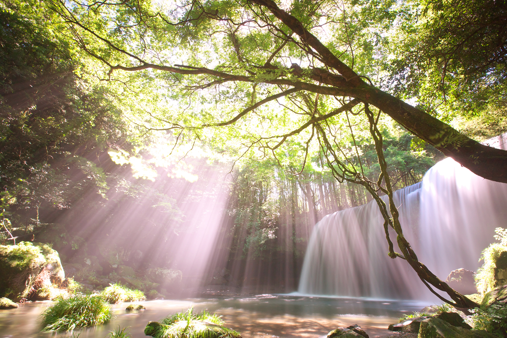 The shower of light