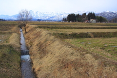 山麓の田園風景