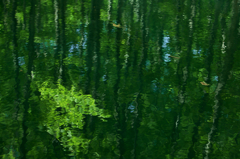 森の水彩画