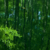 森の水彩画