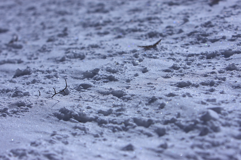 雪肌
