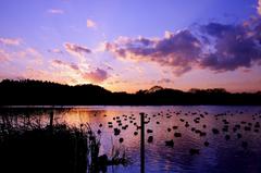 上沼の夕焼け