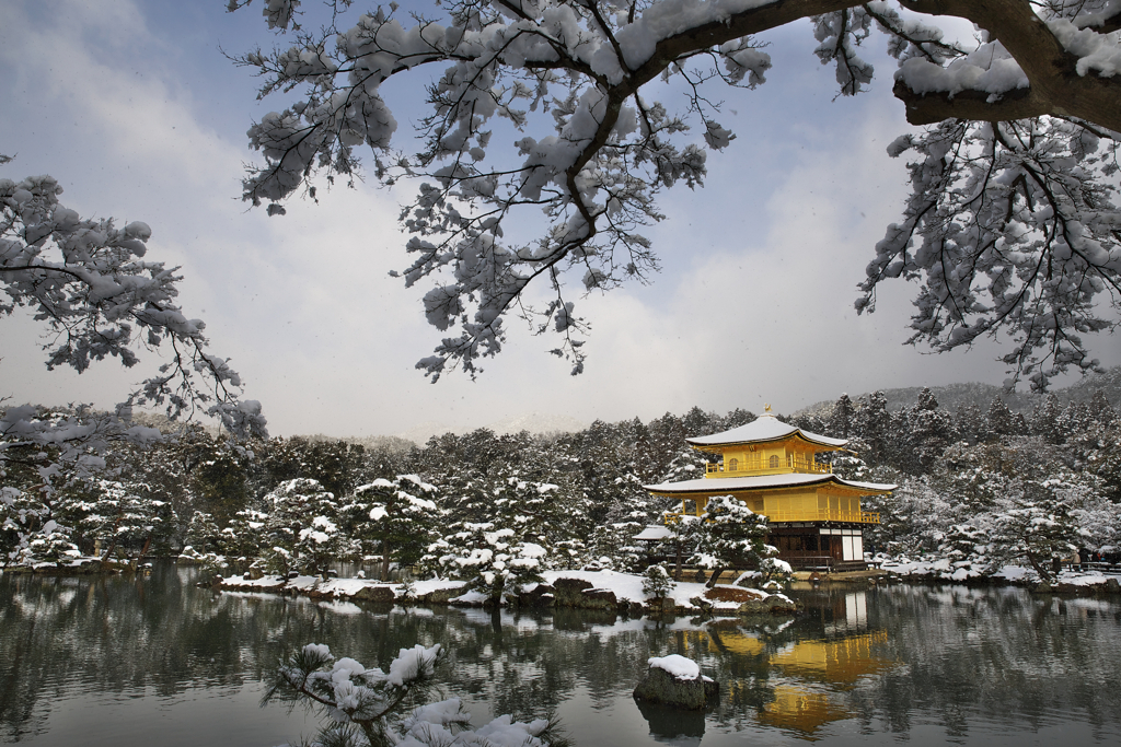 黄金の雪化粧