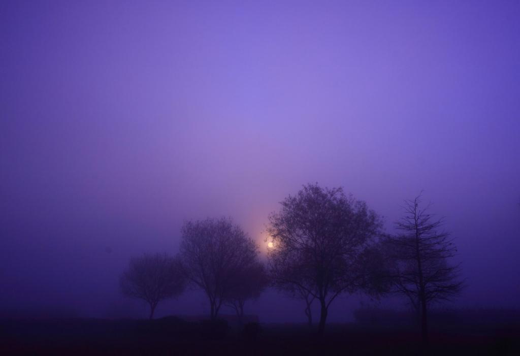 霧の夜明け