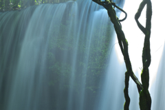 Curtain in a waterfall