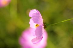 IMG_2781