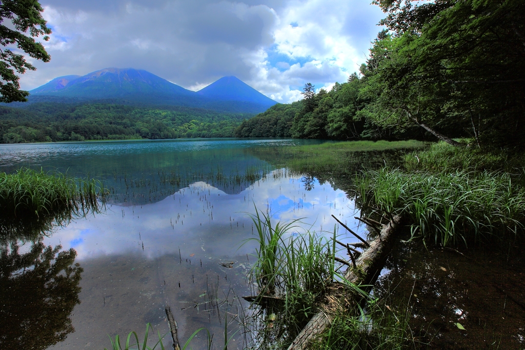 オンネトーの風景