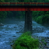 朝靄の風景