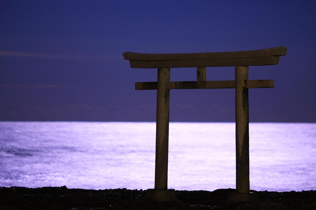 月明りの鳥居