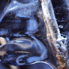  ICE  FOX 　