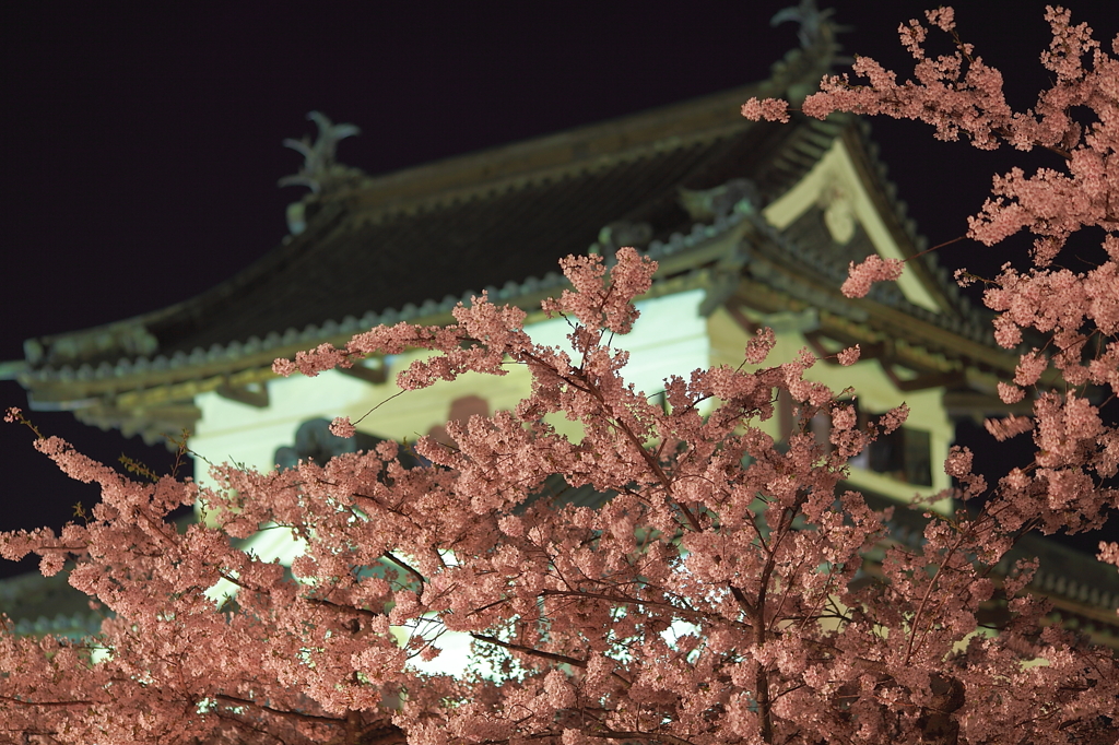 花夜宴