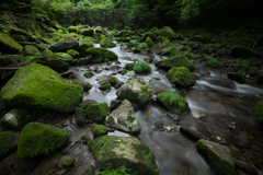 苔むす渓谷