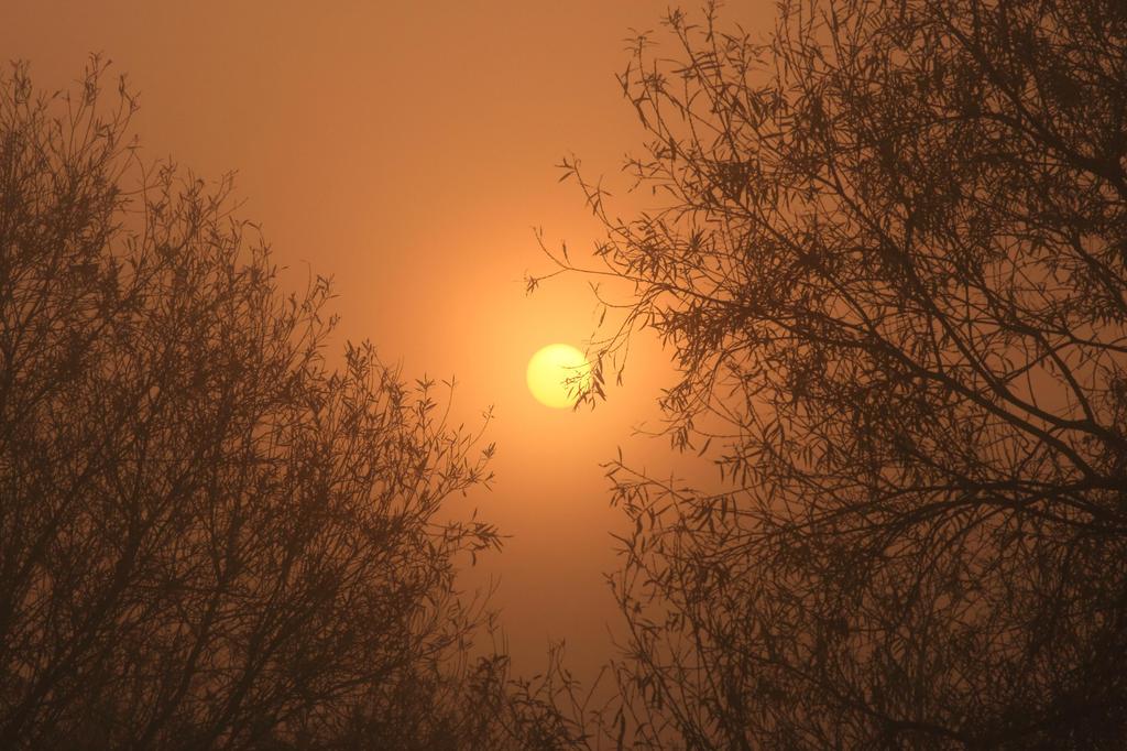 霞む太陽