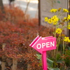 open